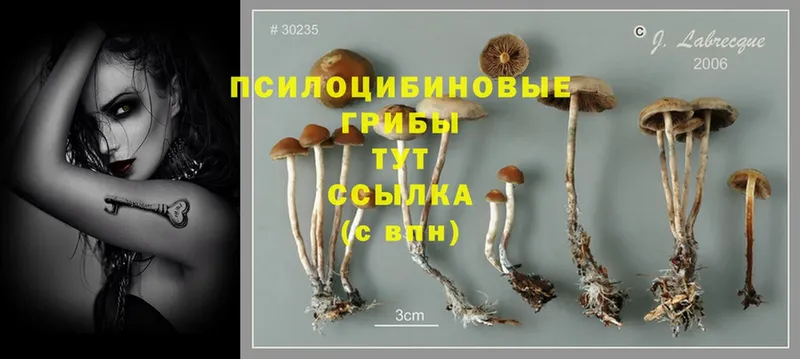 Псилоцибиновые грибы Magic Shrooms  купить наркоту  мега рабочий сайт  Биробиджан 